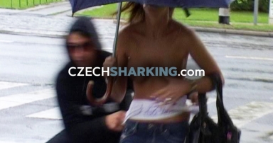 CzechSharking.com